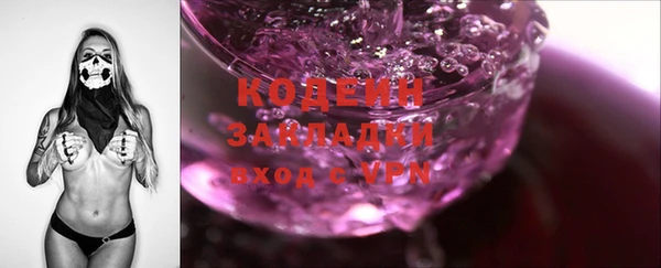 шишки Абаза
