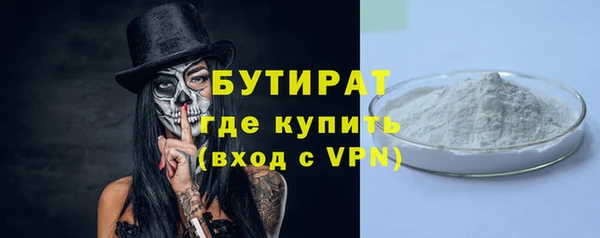шишки Абаза