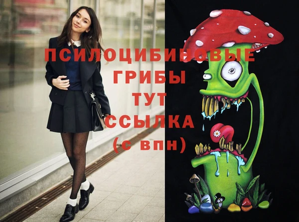 ПСИЛОЦИБИНОВЫЕ ГРИБЫ Абдулино