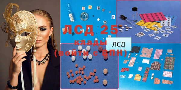 шишки Абаза