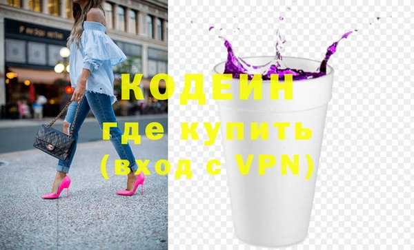 шишки Абаза