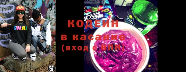 шишки Абаза