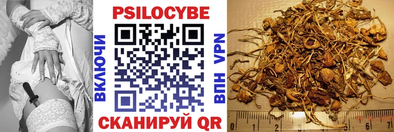 наркошоп  Воронеж  Галлюциногенные грибы GOLDEN TEACHER 